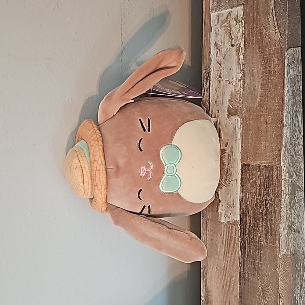 5 in Yong squishmallow